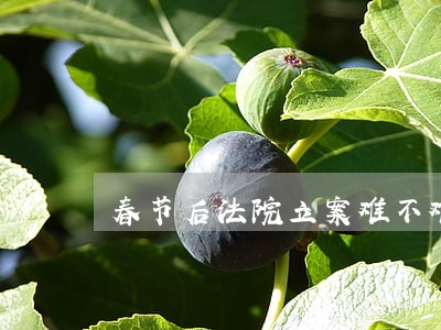 春节后法院立案难不难 春节后法院立案难不难