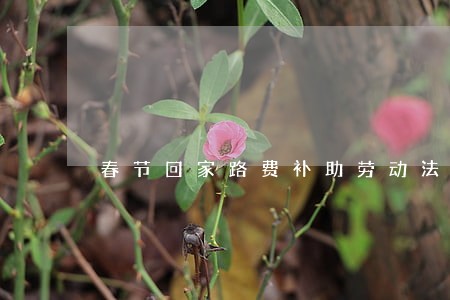 春节回家路费补助劳动法 春节回家路费补助劳动法