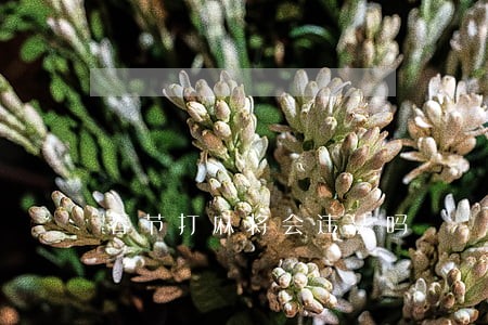 春节打麻将会违法吗 春节打麻将会违法吗