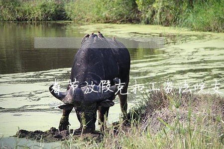 春节放假克扣工资法院支持吗
