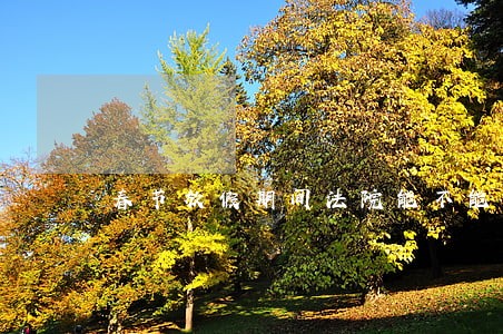 春节放假期间法院能不能执行