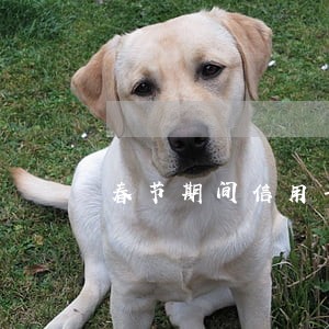 春节期间信用卡还款逾期