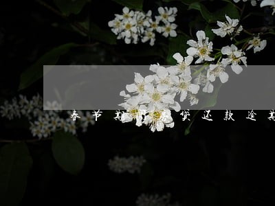 春节期间房贷还款逾期怎么办 春节期间房贷还款逾期怎么办