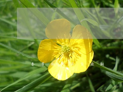 春节期间房贷逾期 春节期间房贷逾期