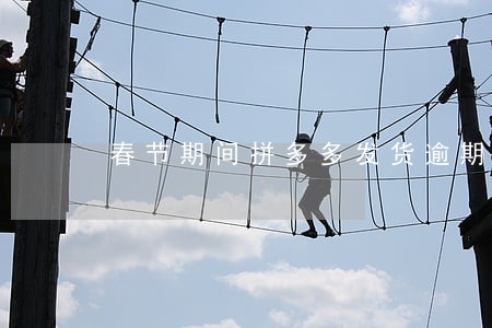 春节期间拼多多发货逾期了怎么办 春节期间拼多多发货逾期了怎么办
