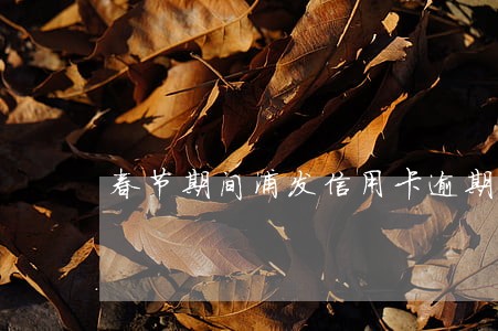 春节期间浦发信用卡逾期 春节期间浦发信用卡逾期