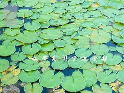 春节期间贷款逾期 春节期间贷款逾期