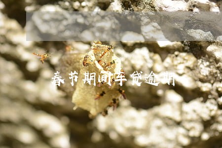 春节期间车贷逾期 春节期间车贷逾期