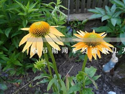 春节期间车贷逾期几天会上征信吗 春节期间车贷逾期几天会上征信吗