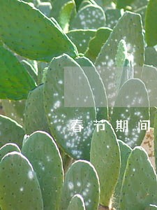 春节期间逾期上征信吗 春节期间逾期上征信吗