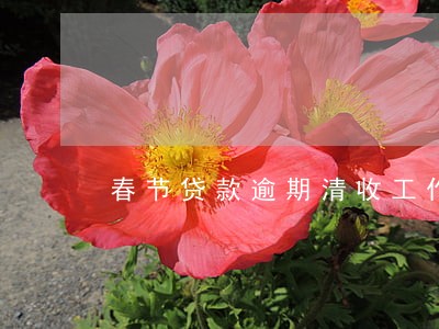 春节贷款逾期清收工作通知 春节贷款逾期清收工作通知