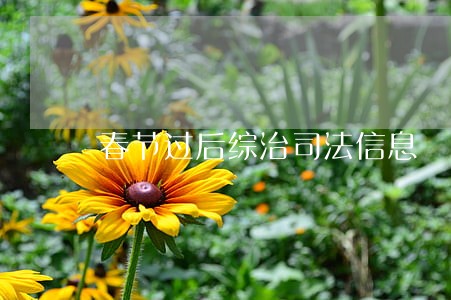 春节过后综治司法信息 春节过后综治司法信息