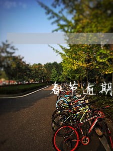春节逾期会打电话吗