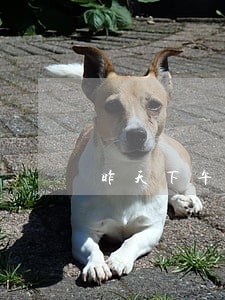 昨天下午做的司法鉴定 昨天下午做的司法鉴定