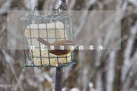 昨日巢湖法院事件 昨日巢湖法院事件