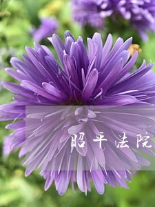 昭平法院最新拍卖消息 昭平法院最新拍卖消息