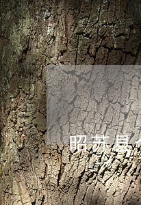 昭苏县个人独资纠纷律师 昭苏县个人独资纠纷律师