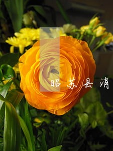 昭苏县消费权益在线律师 昭苏县消费权益在线律师