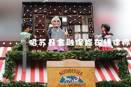昭苏县金融保险在线律师 昭苏县金融保险在线律师