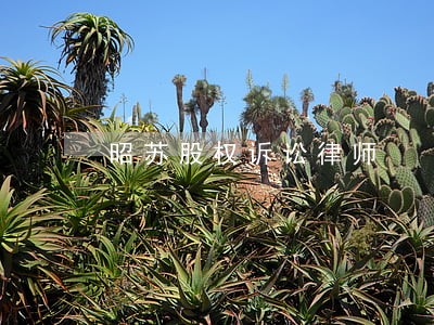 昭苏股权诉讼律师 昭苏股权诉讼律师