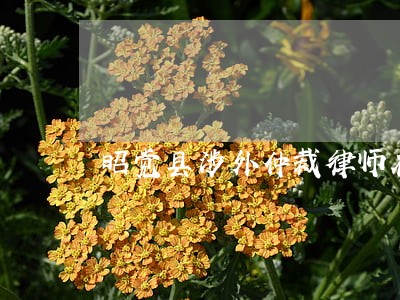 昭觉县涉外仲裁律师在线免费咨询 昭觉县涉外仲裁律师在线免费咨询