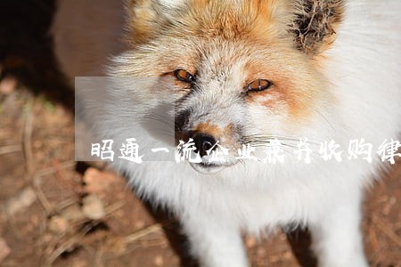 昭通一流企业兼并收购律师 昭通一流企业兼并收购律师