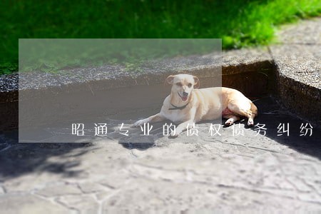 昭通专业的债权债务纠纷律师费用 昭通专业的债权债务纠纷律师费用