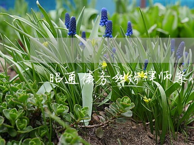 昭通债务纠纷律师案件 昭通债务纠纷律师案件