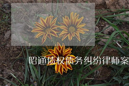 昭通债权债务纠纷律师案件 昭通债权债务纠纷律师案件