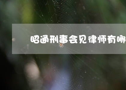 昭通刑事会见律师有哪些 昭通刑事会见律师有哪些
