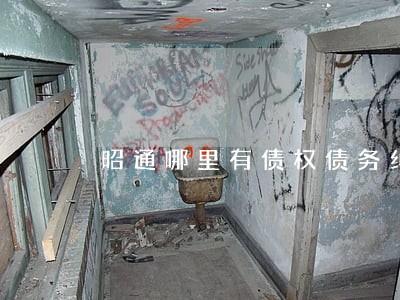 昭通哪里有债权债务纠纷律师