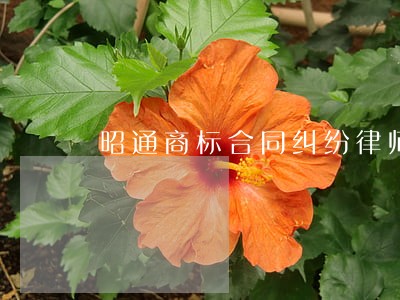 昭通商标合同纠纷律师 昭通商标合同纠纷律师