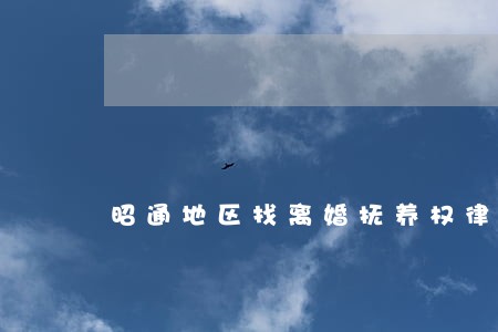 昭通地区找离婚抚养权律师