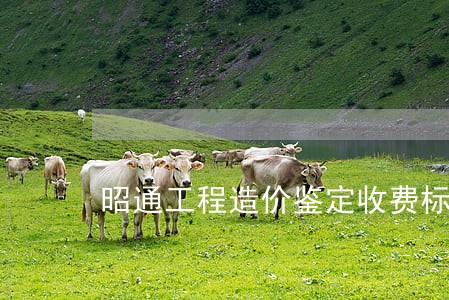 昭通工程造价鉴定收费标准 昭通工程造价鉴定收费标准