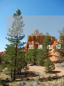 昭通市侵权责任律师在线解答 昭通市侵权责任律师在线解答