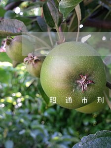 昭通市刑辩律师价格 昭通市刑辩律师价格