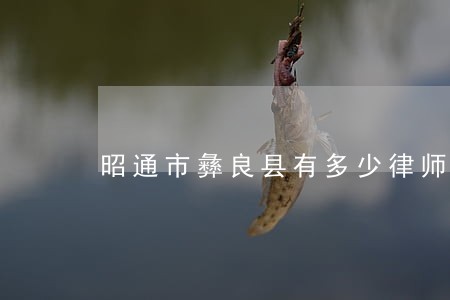 昭通市彝良县有多少律师