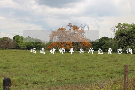 昭通律师事务所免费咨询电话 昭通律师事务所免费咨询电话