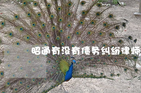 昭通有没有债务纠纷律师免费咨询 昭通有没有债务纠纷律师免费咨询