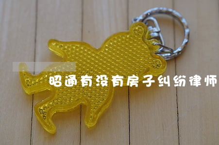 昭通有没有房子纠纷律师咨询
