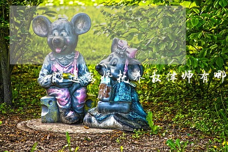 昭通离婚抚养权律师有哪些