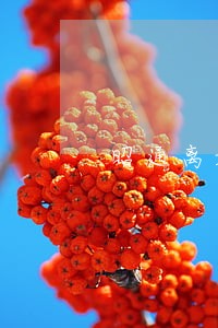 昭通离婚纠纷律师联系电话 昭通离婚纠纷律师联系电话