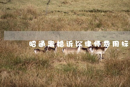 昭通离婚诉讼律师费用标准 昭通离婚诉讼律师费用标准