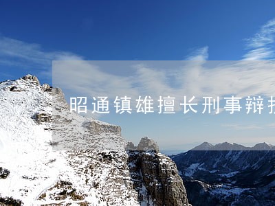 昭通镇雄擅长刑事辩护律师哪家好 昭通镇雄擅长刑事辩护律师哪家好