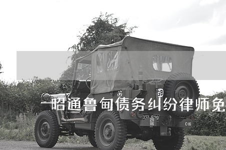 昭通鲁甸债务纠纷律师免费咨询 昭通鲁甸债务纠纷律师免费咨询