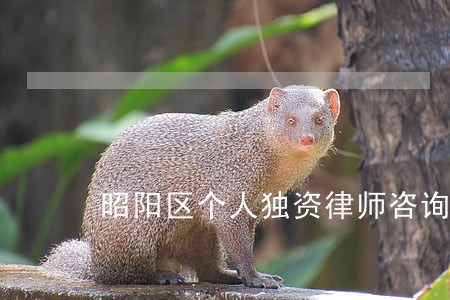 昭阳区个人独资律师咨询电话 昭阳区个人独资律师咨询电话