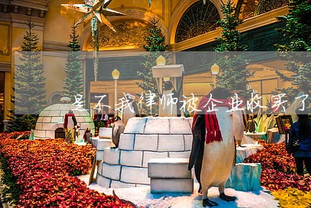是不我律师被企业收买了 是不我律师被企业收买了