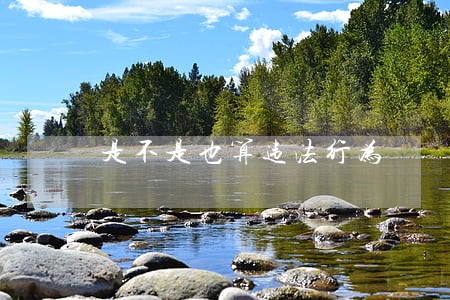 是不是也算违法行为