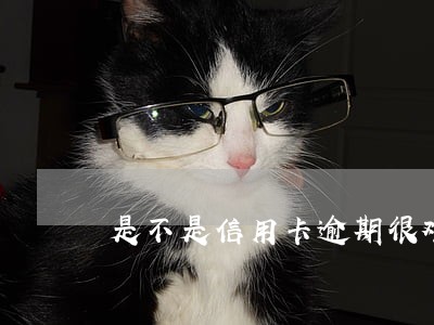 是不是信用卡逾期很难协商 是不是信用卡逾期很难协商