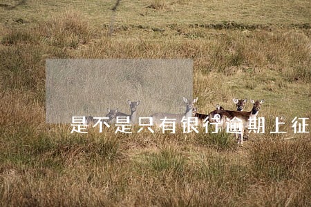 是不是只有银行逾期上征信 是不是只有银行逾期上征信